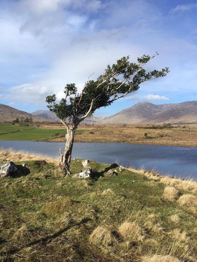 Railway View - Connemara Bed and Breakfast Recess Eksteriør billede